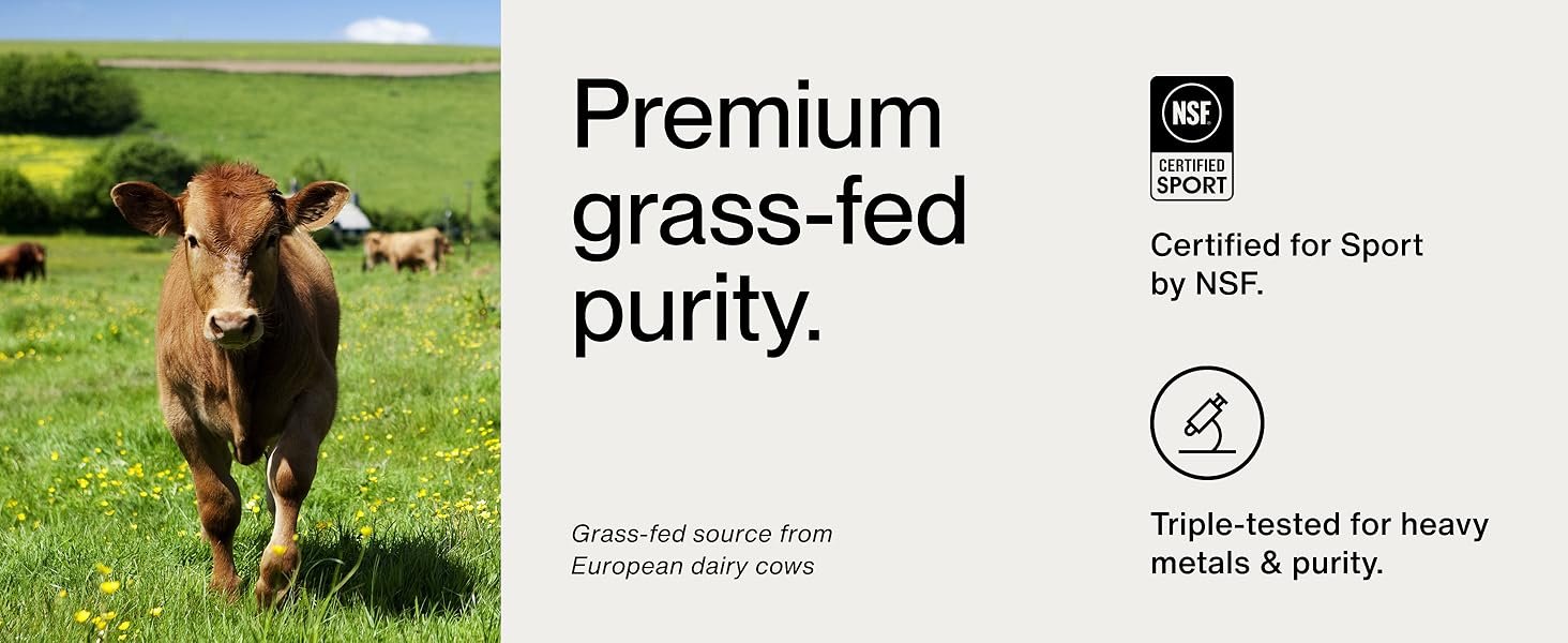 Premium grass-fed purity. Grass-fed source from European dairy cows. Certified for Sport by NSF.