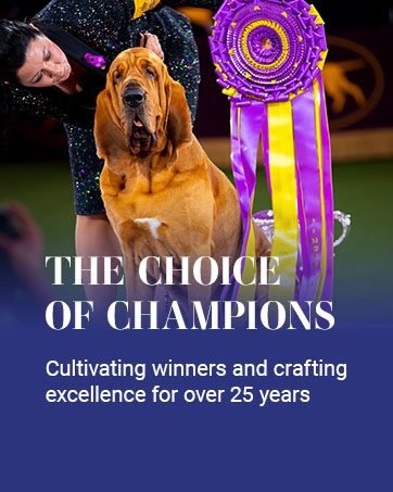 Chris Christensen is the Choice of Champions. Cultivating Winners for over 25 Years.