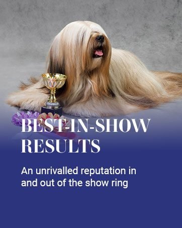 Achieve Best In Show Results with Chris Christensen. An Unrivalled Reputation In the Show Ring