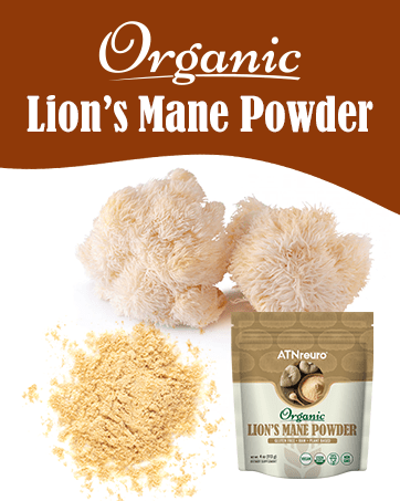 lions mane powder organic