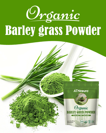 barley grass juice powder organic
