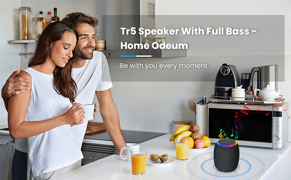 Portable Bluetooth Speaker