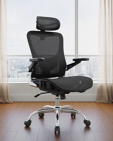 Ergonomic Office Chair