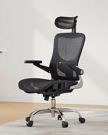 Ergonomic Office Chair
