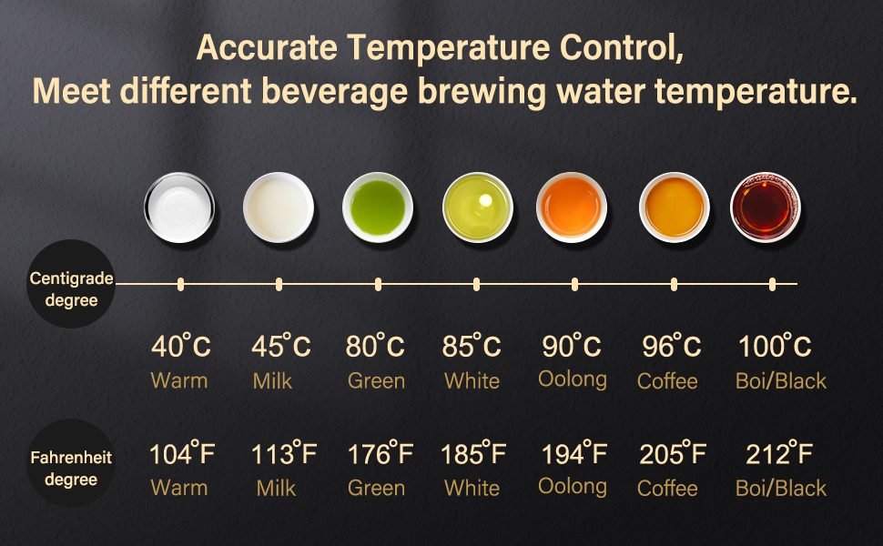 Gooseneck Electric Kettle