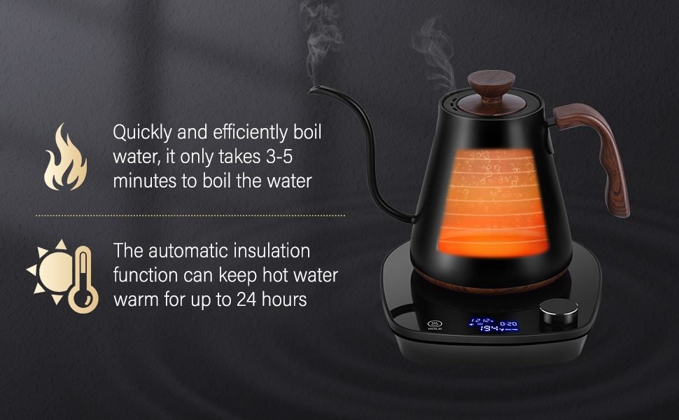 Temperature Control Kettle
