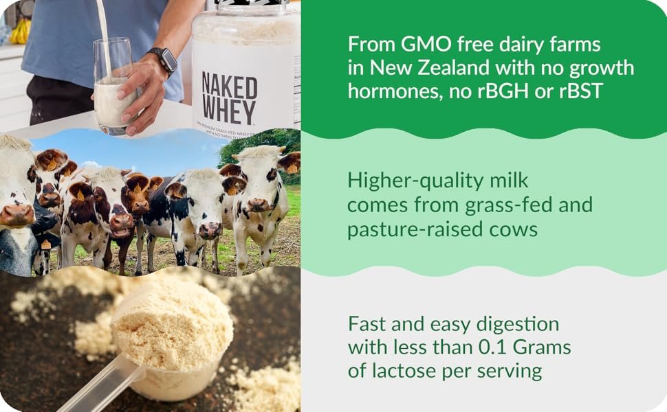 whey protein isolate powder; naked whey; whey protein powder unflavored; protein powder whey