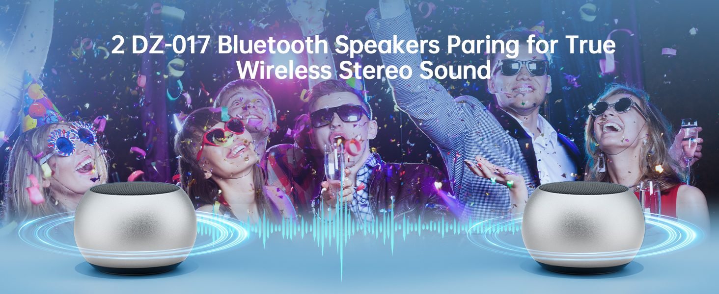 Portable Bluetooth Speaker