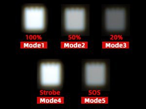 upgraded LED flashlights cast a wide beam that effortlessly illuminates walking dog at night