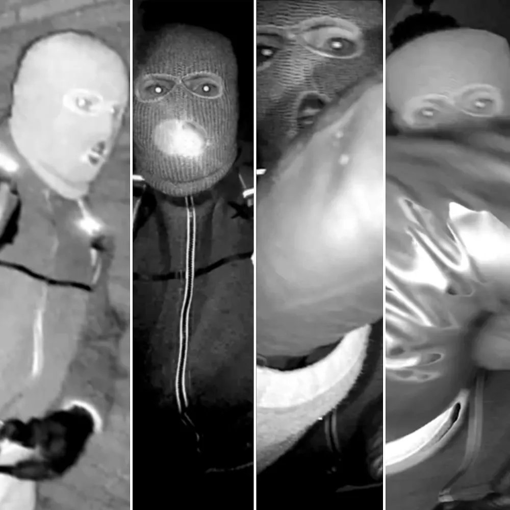 Nancy Guthrie Suspect Nest Camera FBI First 4 Photos